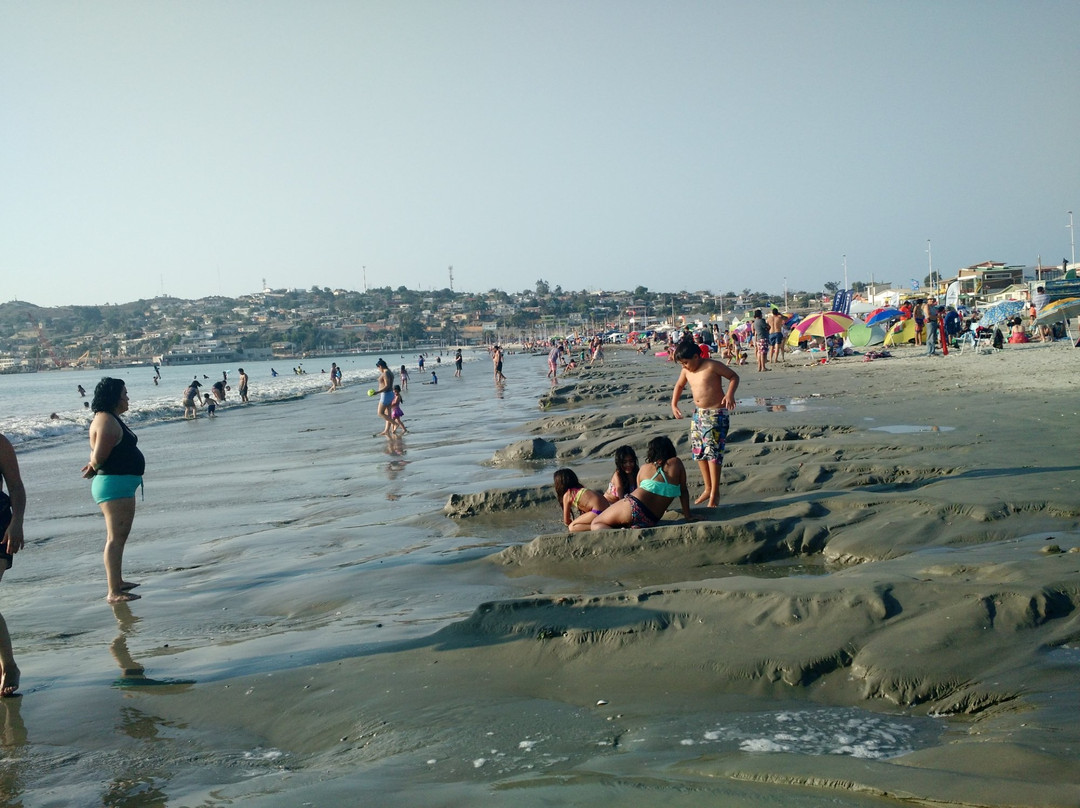 Playa Grande-Tongoy必去景点