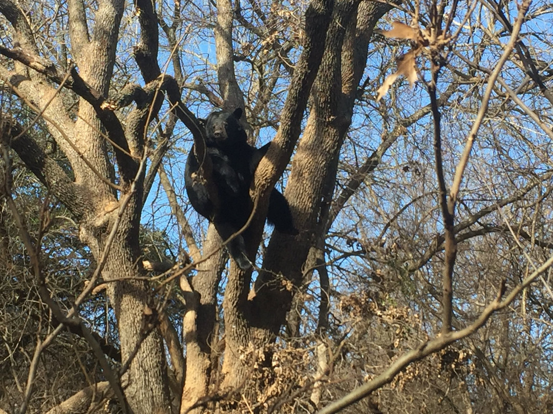 The Wild Animal Sanctuary - Texas-Boyd必去景点