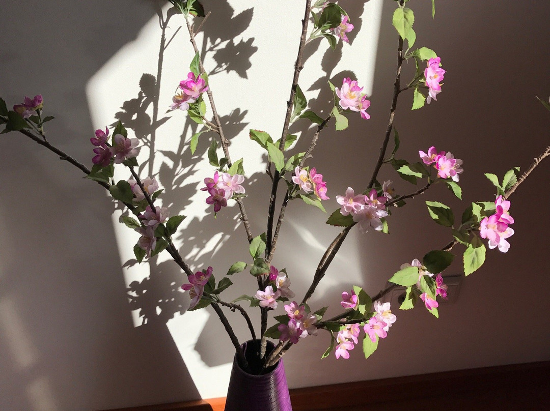 Residencial Vila Formosa主图