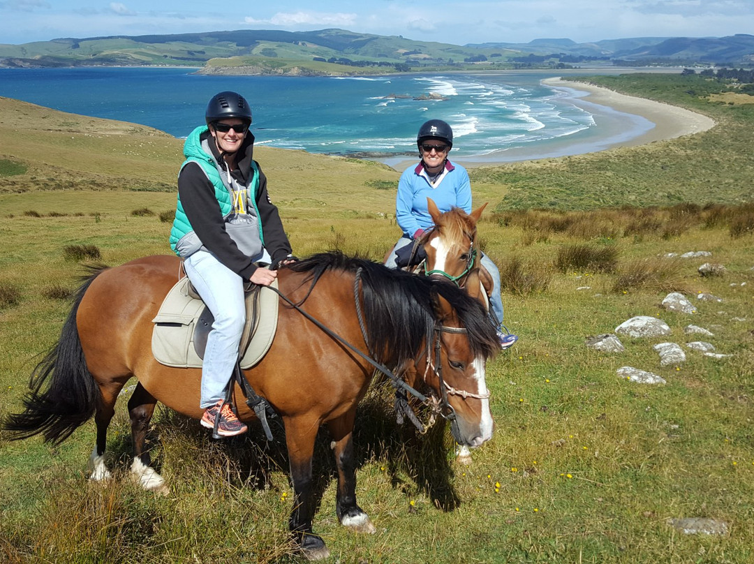 Catlins Horse Riding景点图片