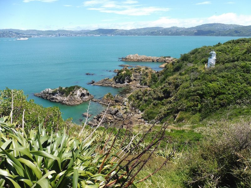 Matiu / Somes Island景点图片