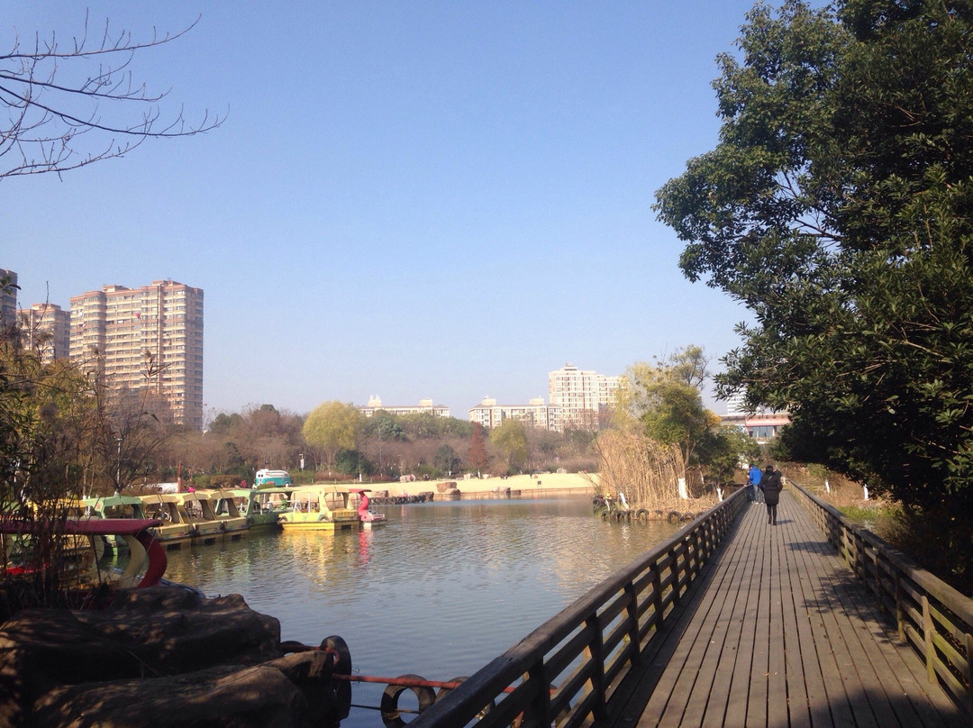 青枫公园-常州市必去景点