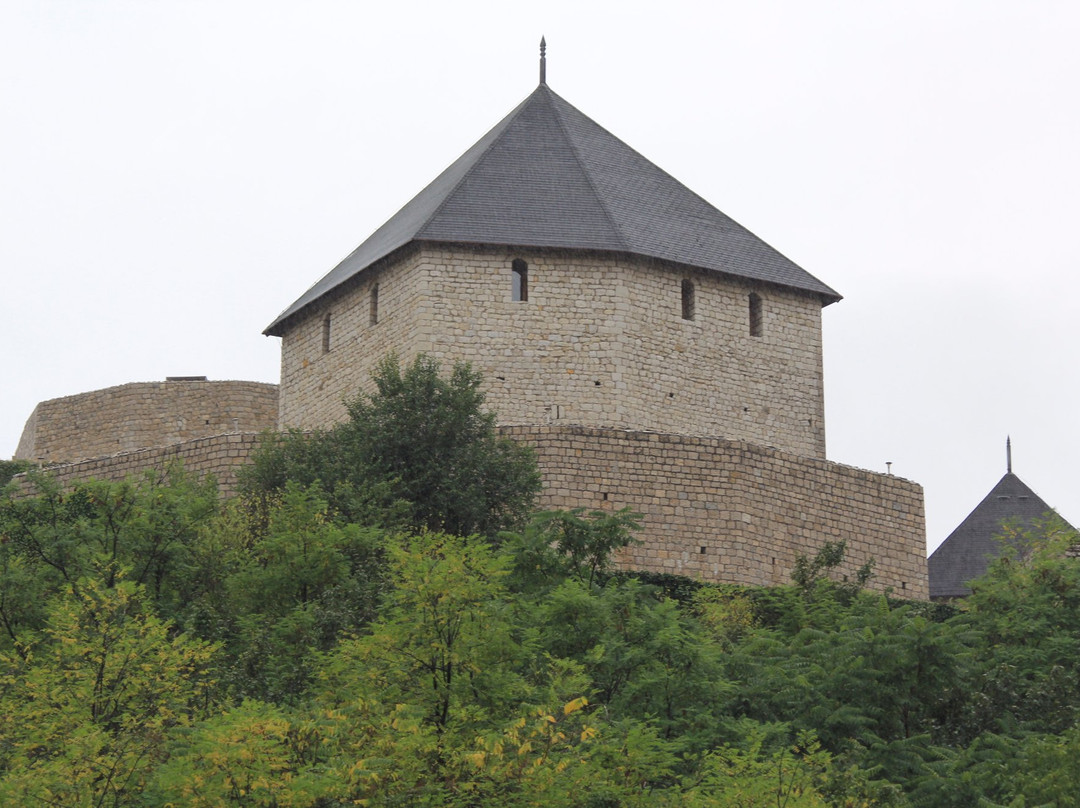 Tešanj Castle景点图片