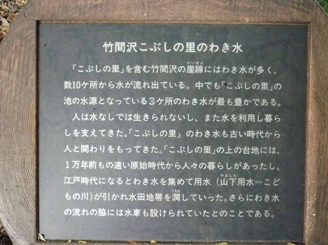 Chikumazawa Kobushi Village-三芳町必去景点