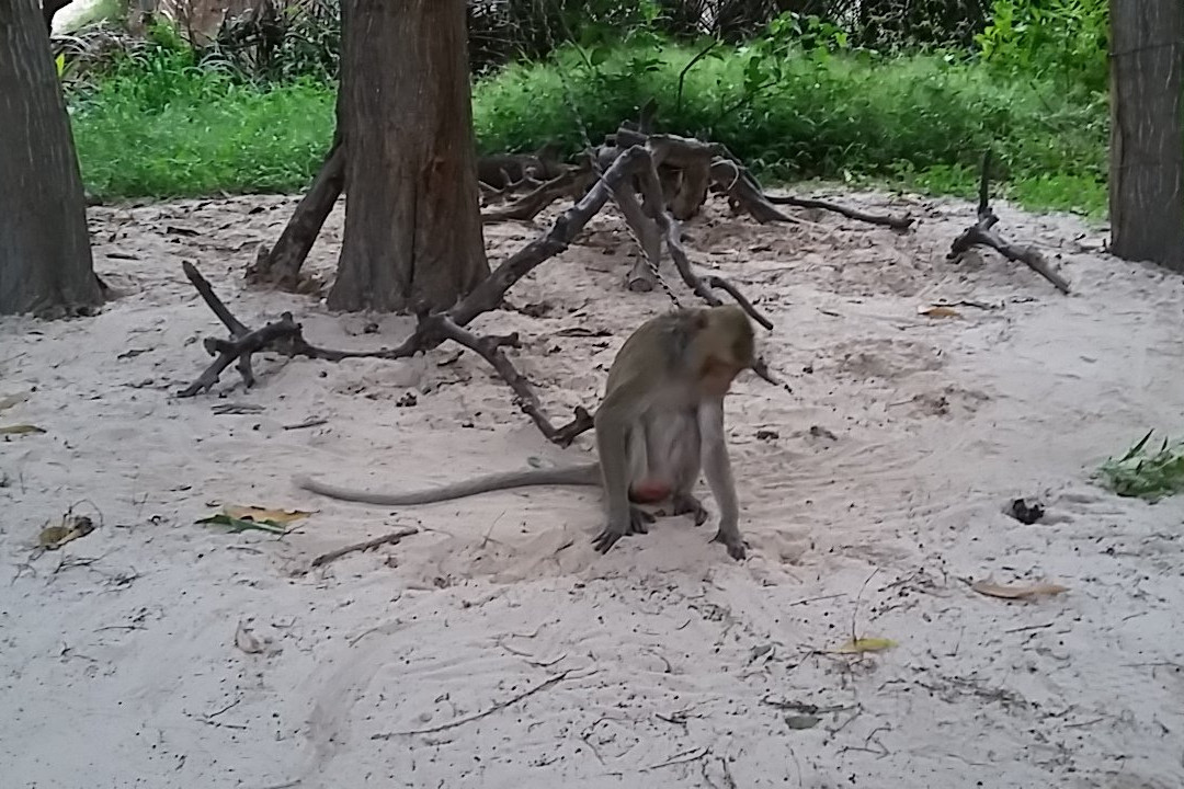 Vita Garden Mini-Zoo-藩切市必去景点