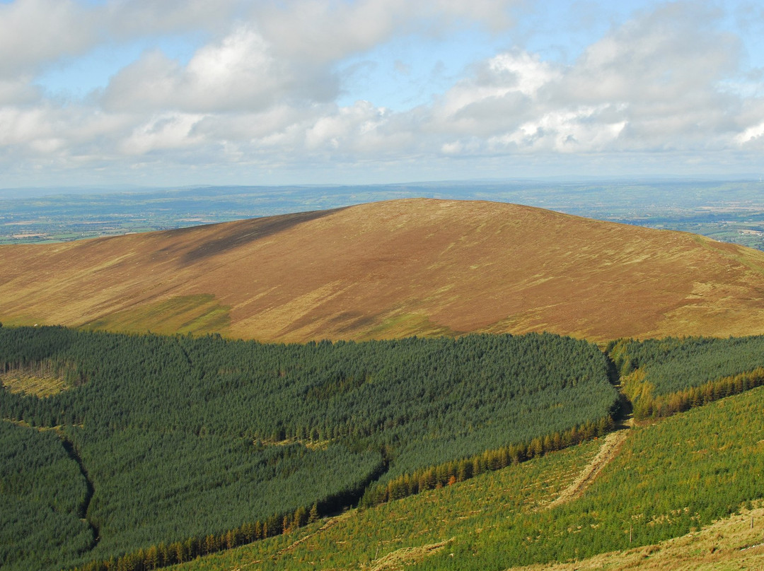 Mount Leinster景点图片