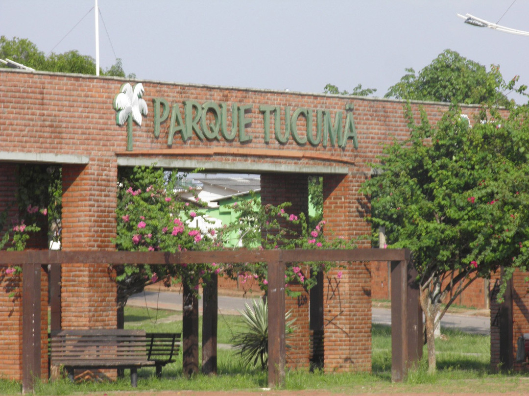 Parque do Tucuma景点图片