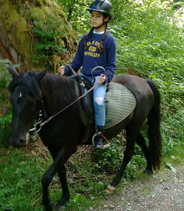 Misty Acres-Ravensdale必去景点