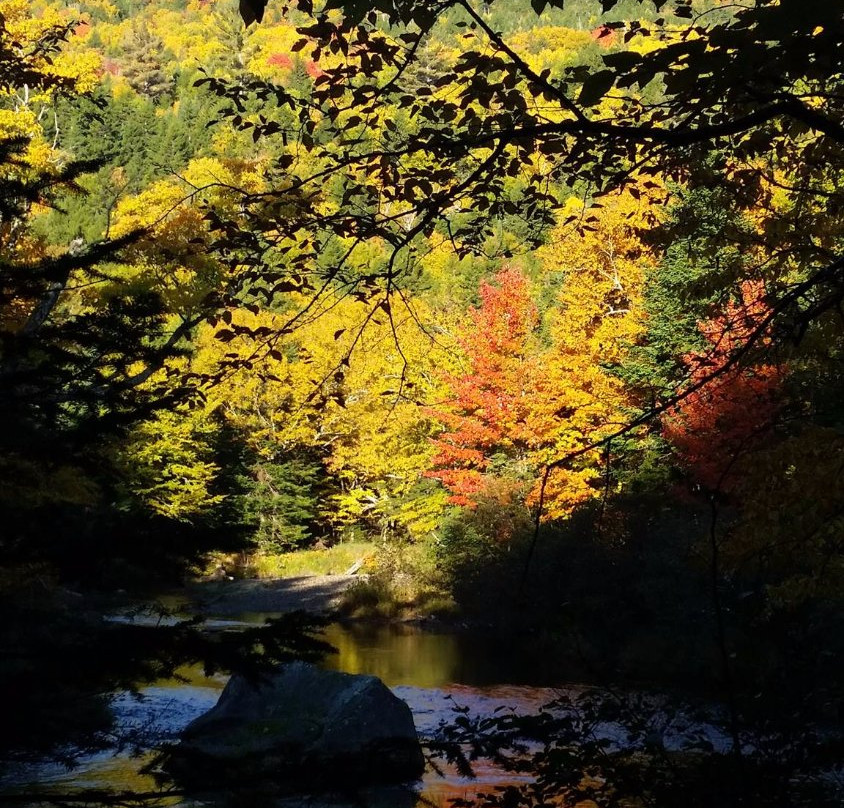 Maine Quest Adventures景点图片