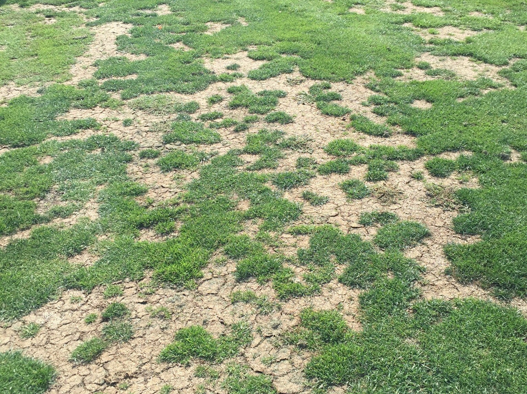 Glen Eagle Golf Club-博尔顿必去景点