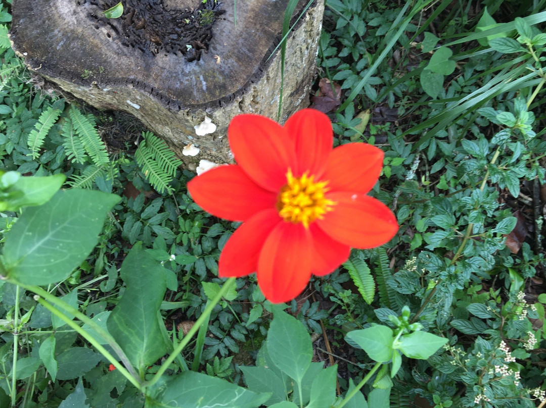 Macuiltepec-哈拉帕必去景点