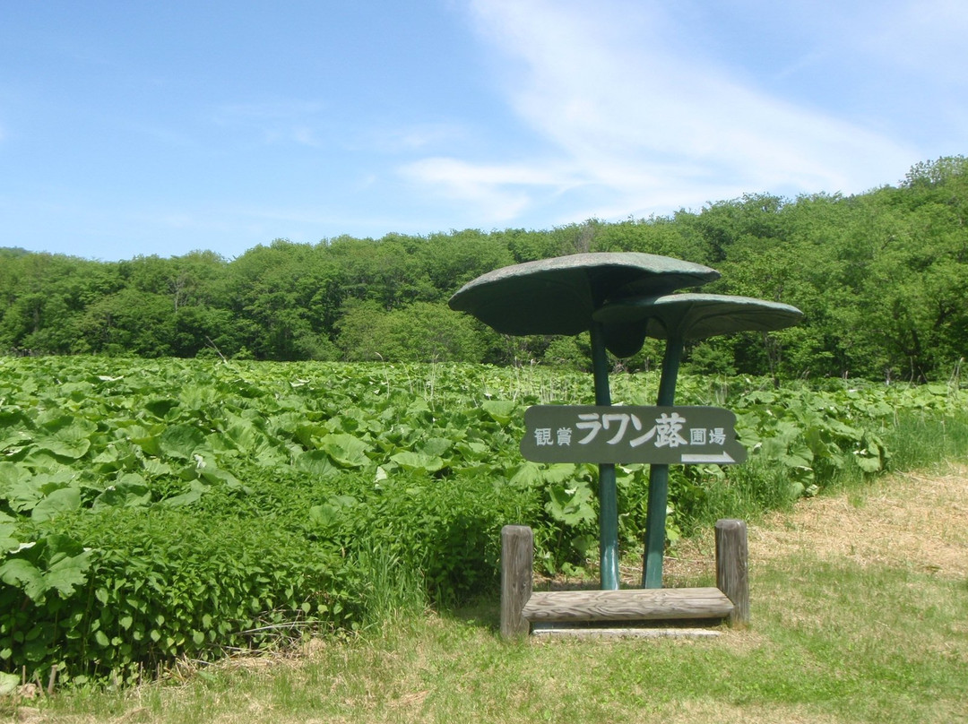 Rawanbuki Hojo-足寄町必去景点