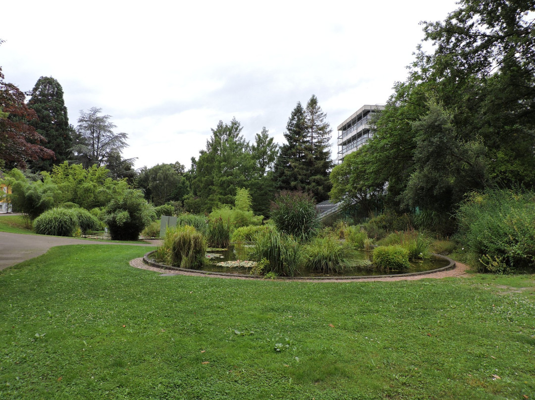 Botanischer Garten der Universitat Freiburg景点图片