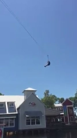 Baytowne Adventure Zone景点图片