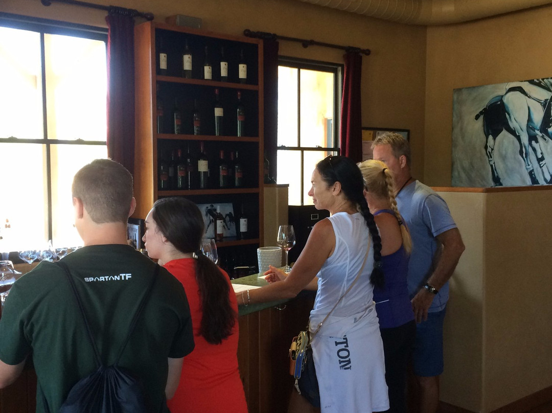 Envy Wines-卡利斯托加必去景点