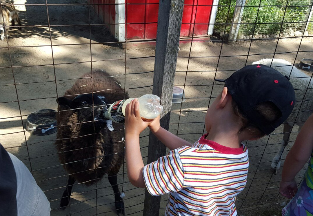 Oshawa Zoo-奥沙瓦必去景点