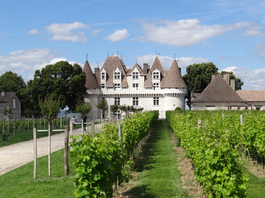 Château de Monbazillac景点图片