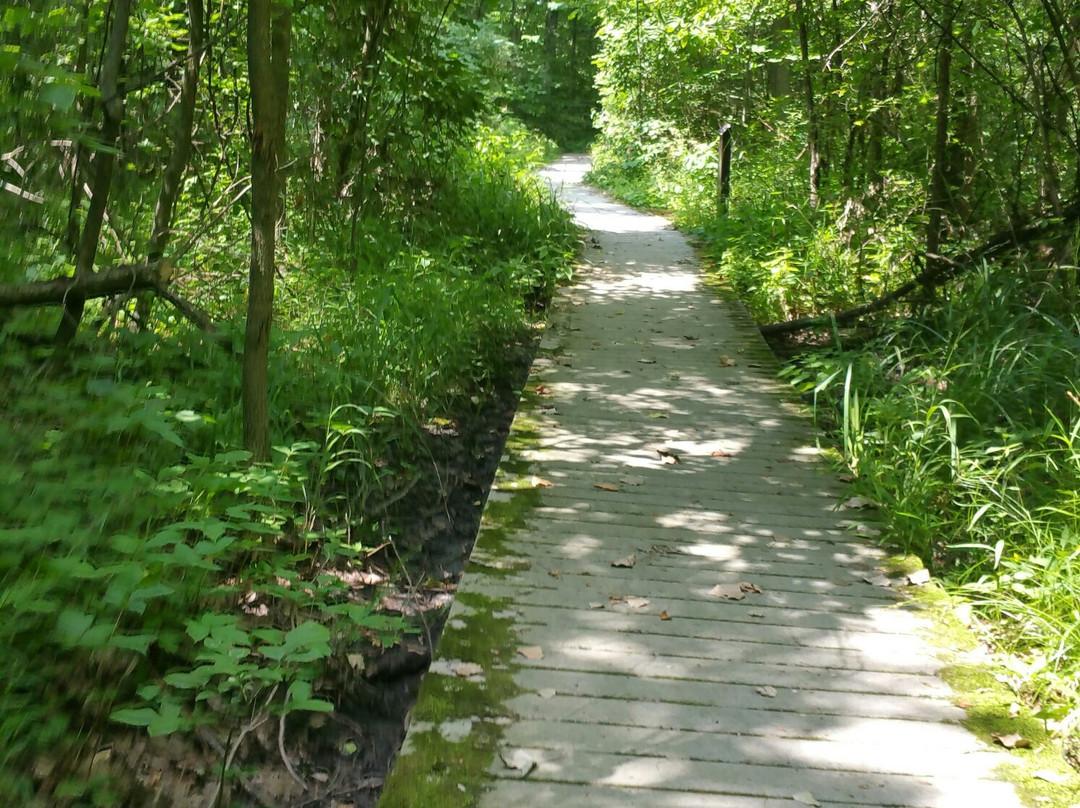 Lawrence Woods State Nature Preserve-Kenton必去景点