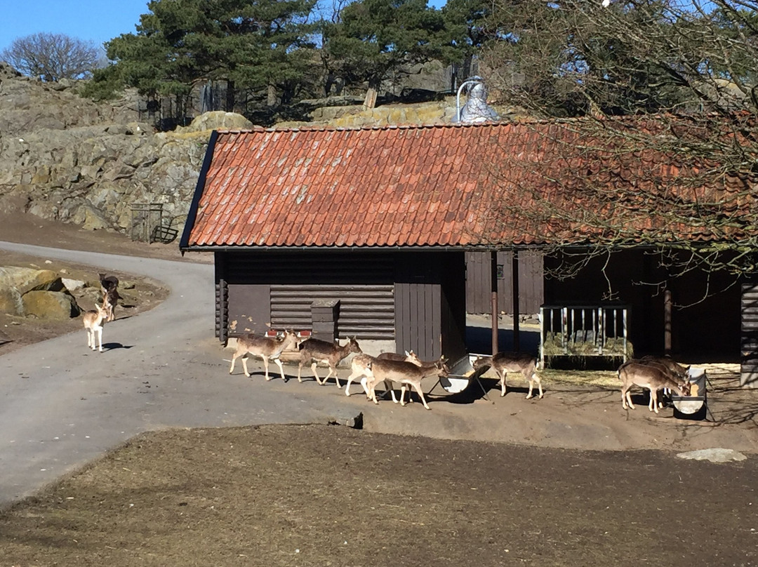 Children's Zoo-哥德堡必去景点