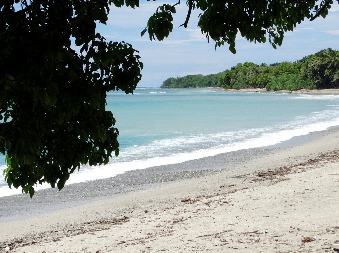 Playa Montezuma景点图片