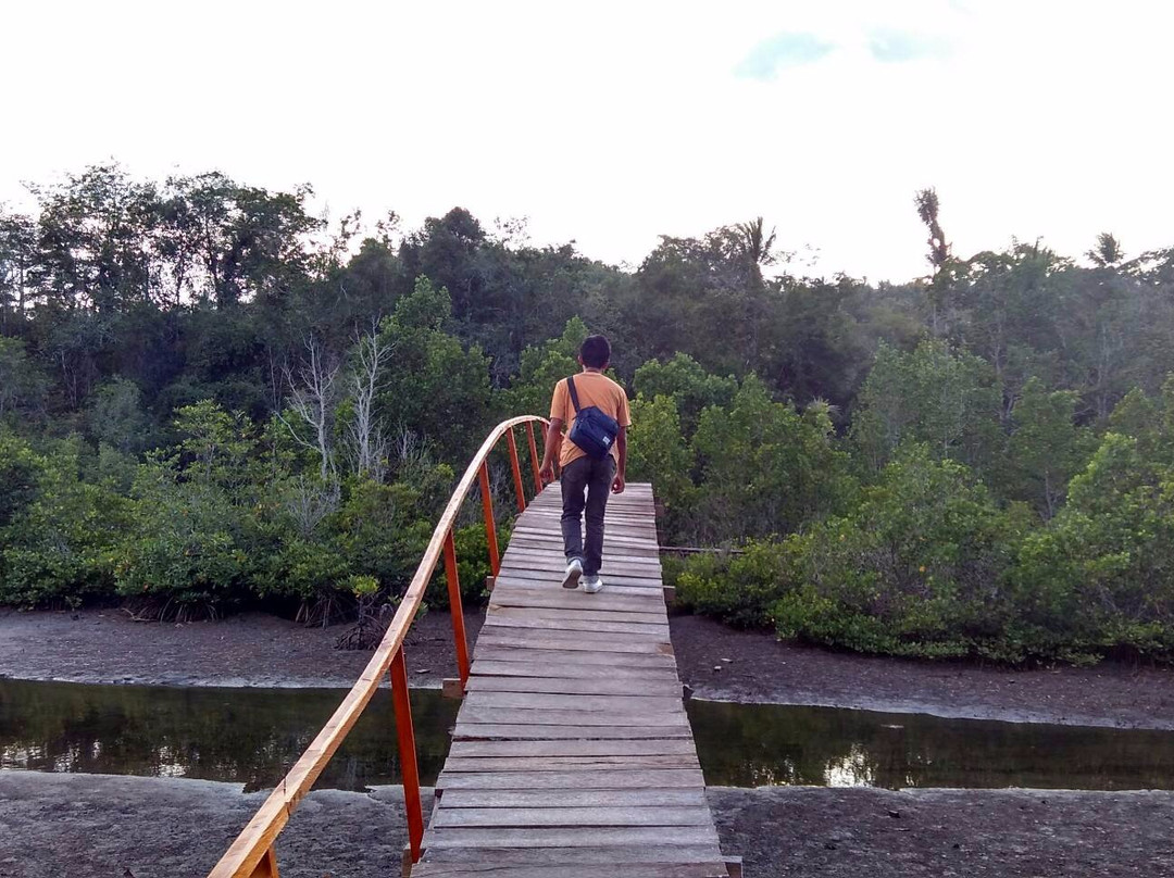 Ekowisata Pasir Panjang Pantai Kahona景点图片