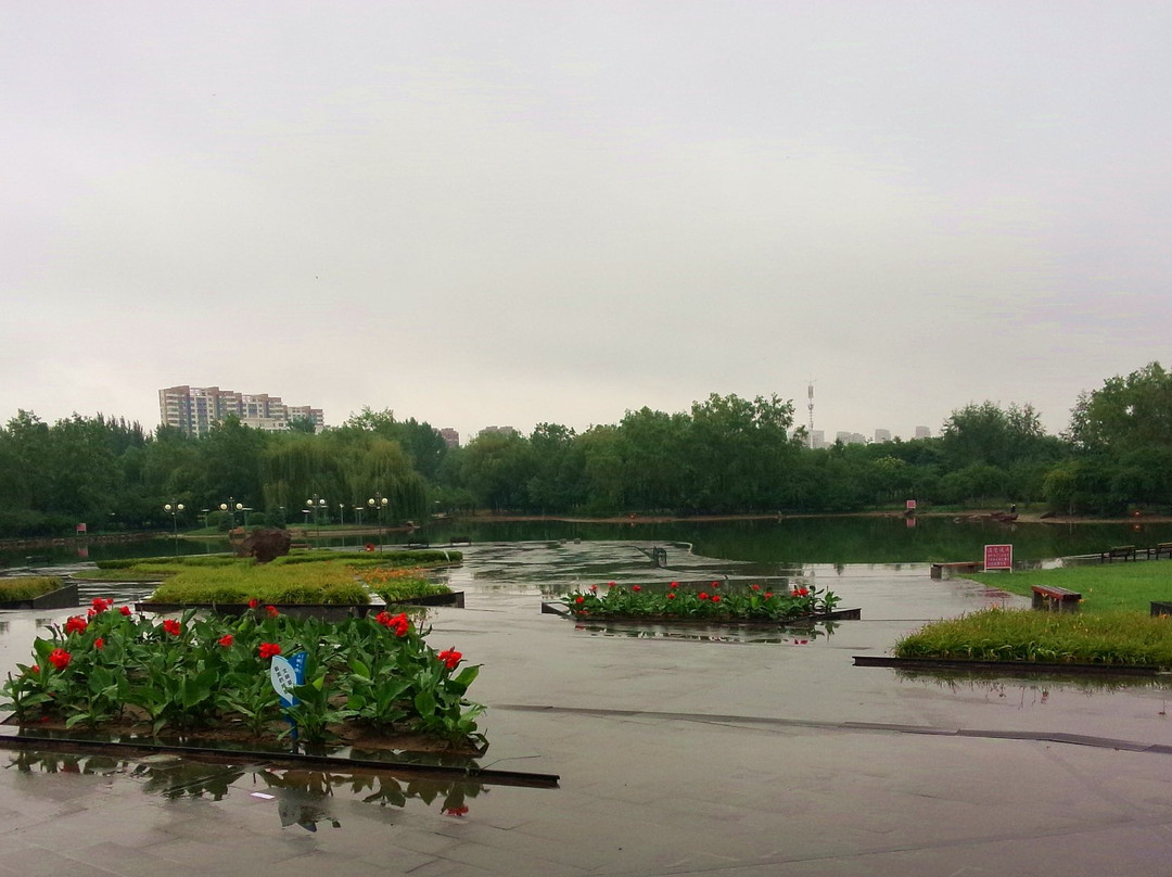 贡格尔草原-克什克腾旗必去景点