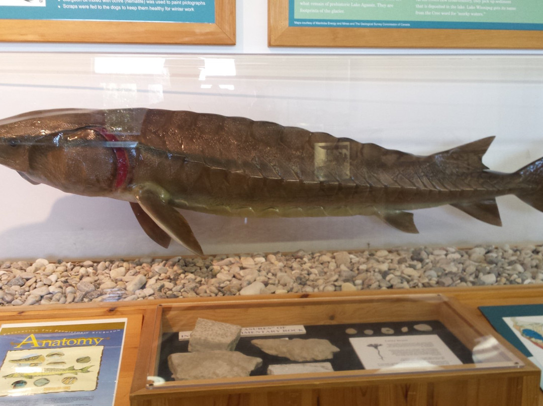 Lake Winnipeg Visitor Centre-基米尼必去景点