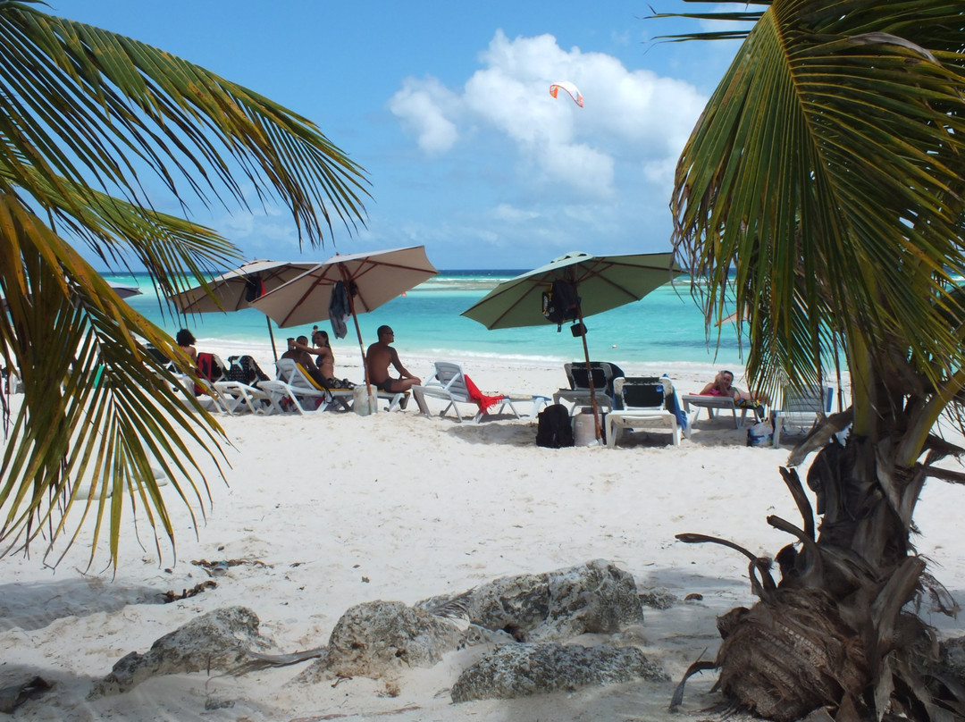 Coast Beach Club-Worthing必去景点