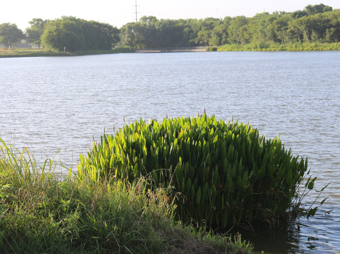 Oak Point Park & Nature Preserve-普莱诺必去景点