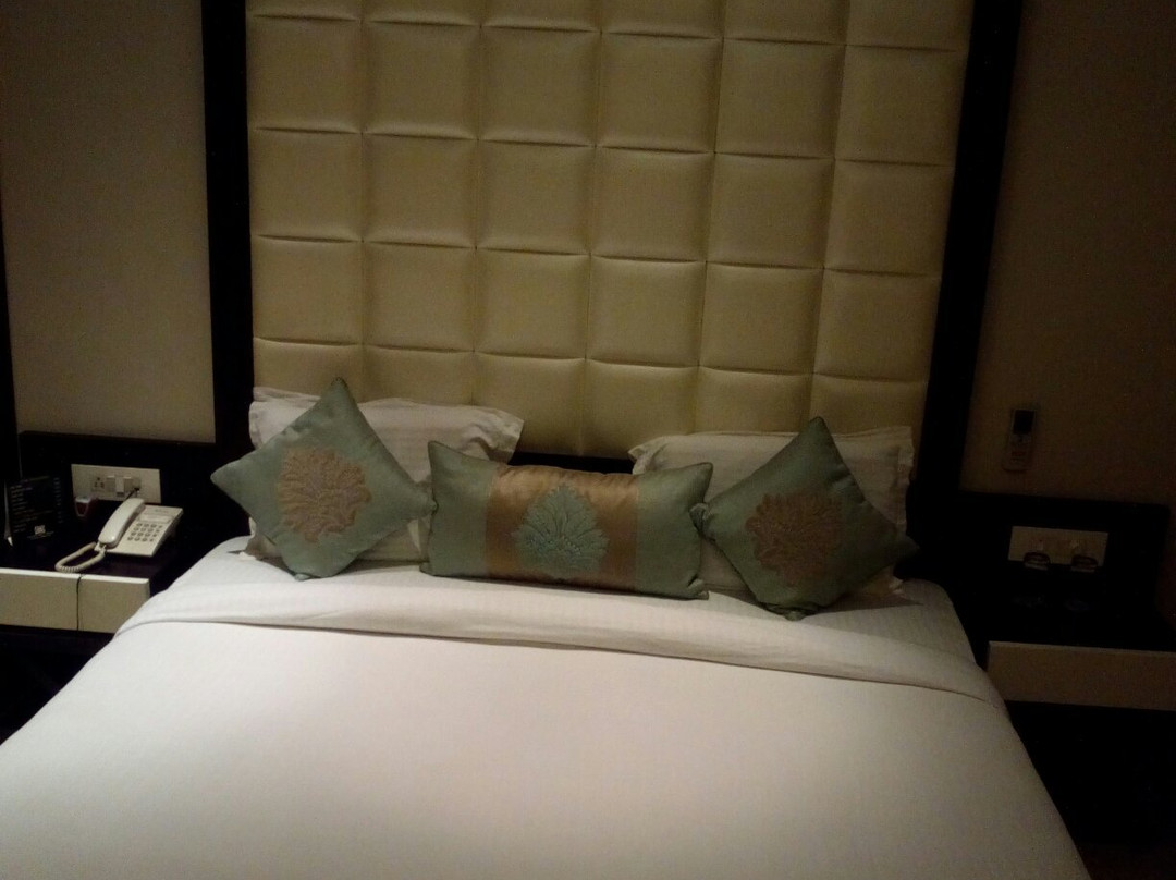 Hotel Samrat Heavens主图