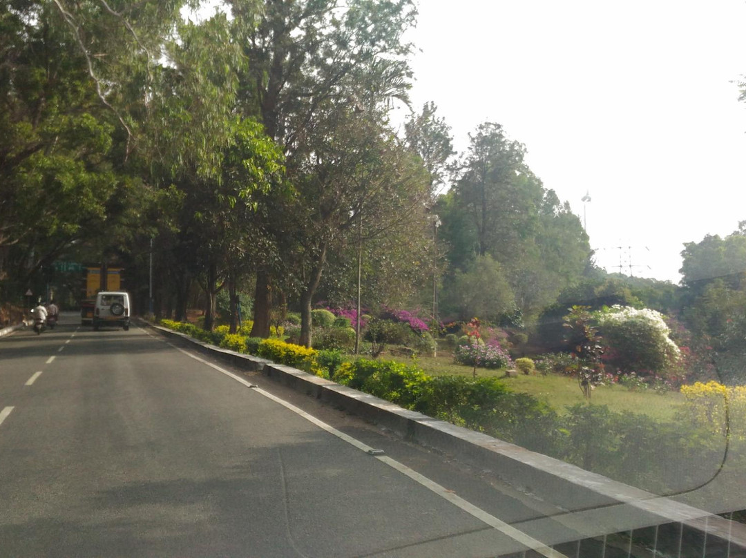TTD Gardens景点图片