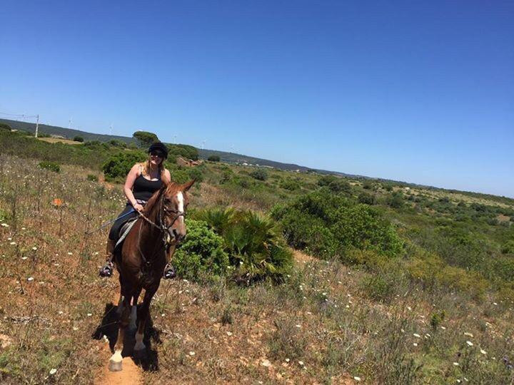 Tiffany's Riding Centre景点图片