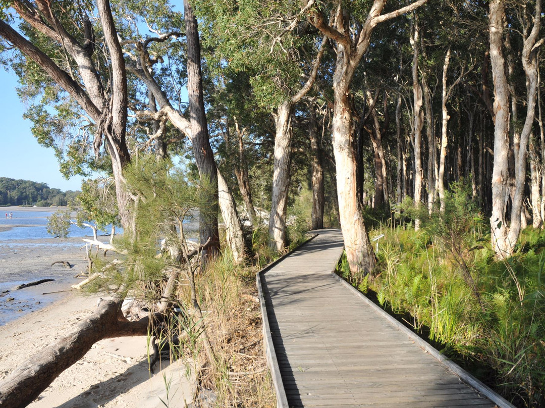 Tanilba Bay旅游攻略图片