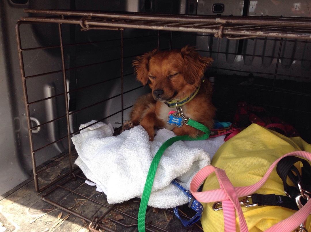 Buttersville Park-拉丁顿必去景点