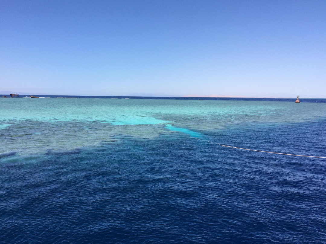 Alpha Dive Centre-斯特兰必去景点