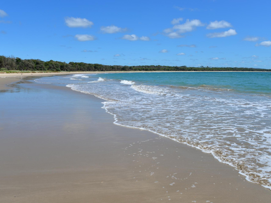 Bundjalung National Park景点图片