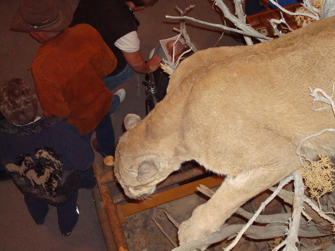 Museum of Northwest Colorado-Craig必去景点