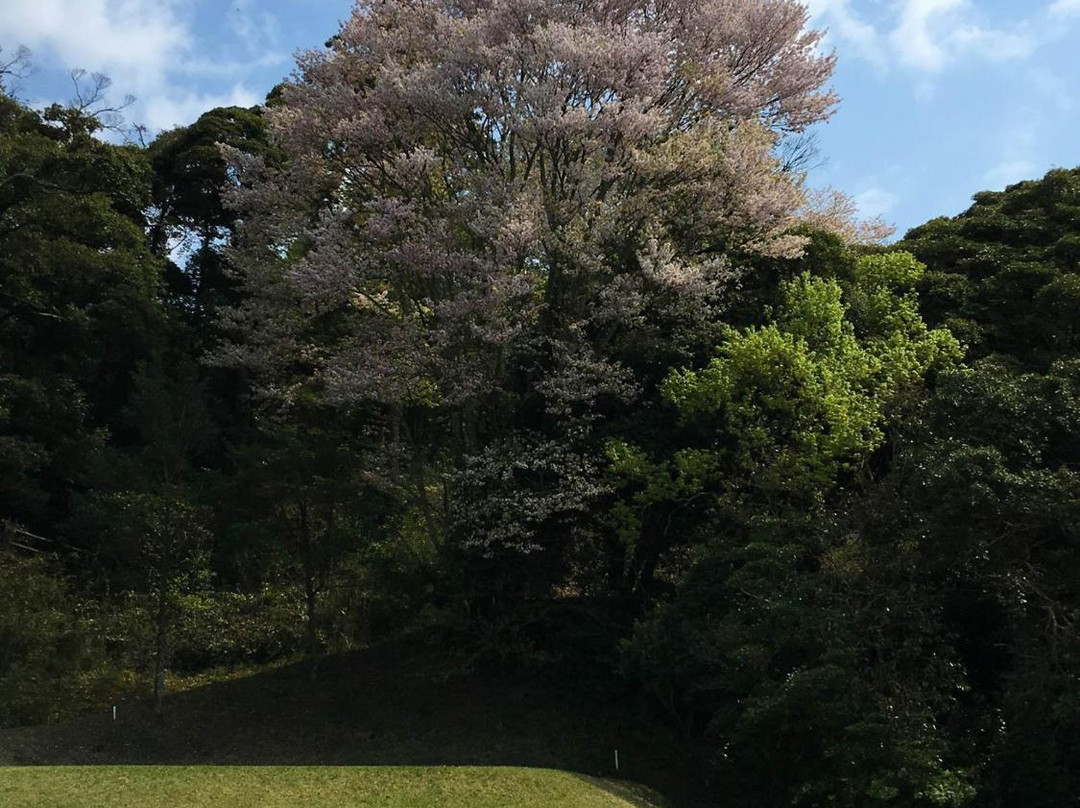 Taiheiyo Club Ichihara Course-市原市必去景点