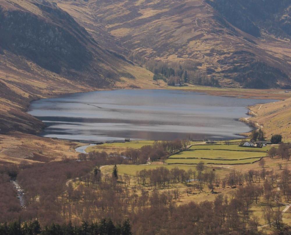 Glen Esk Wild Life Tours景点图片