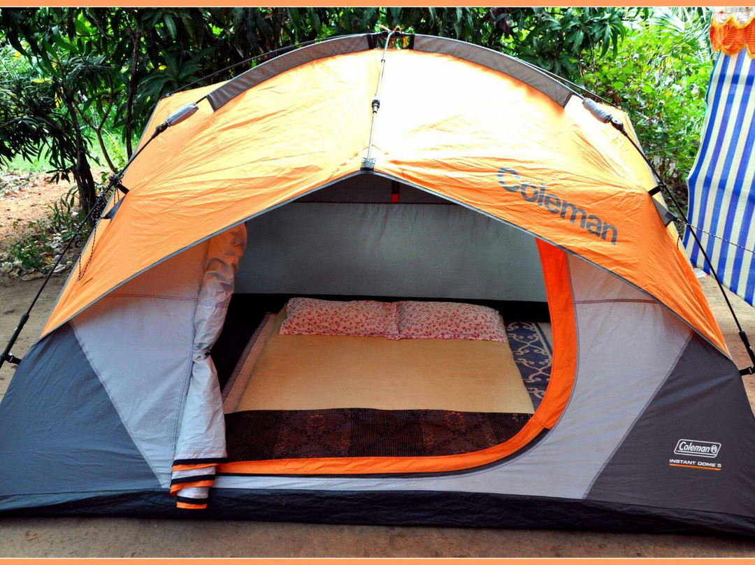 The Leela's Bamboo Houses & Water Sports主图