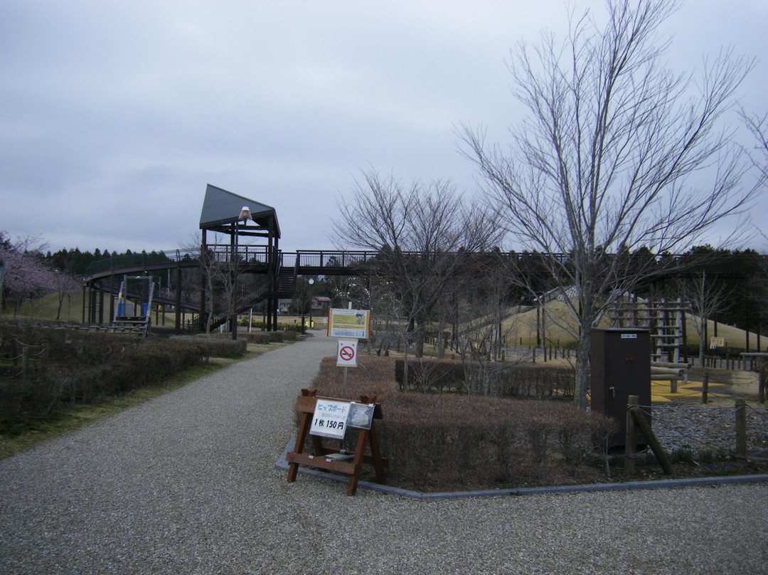 Sakura Park景点图片