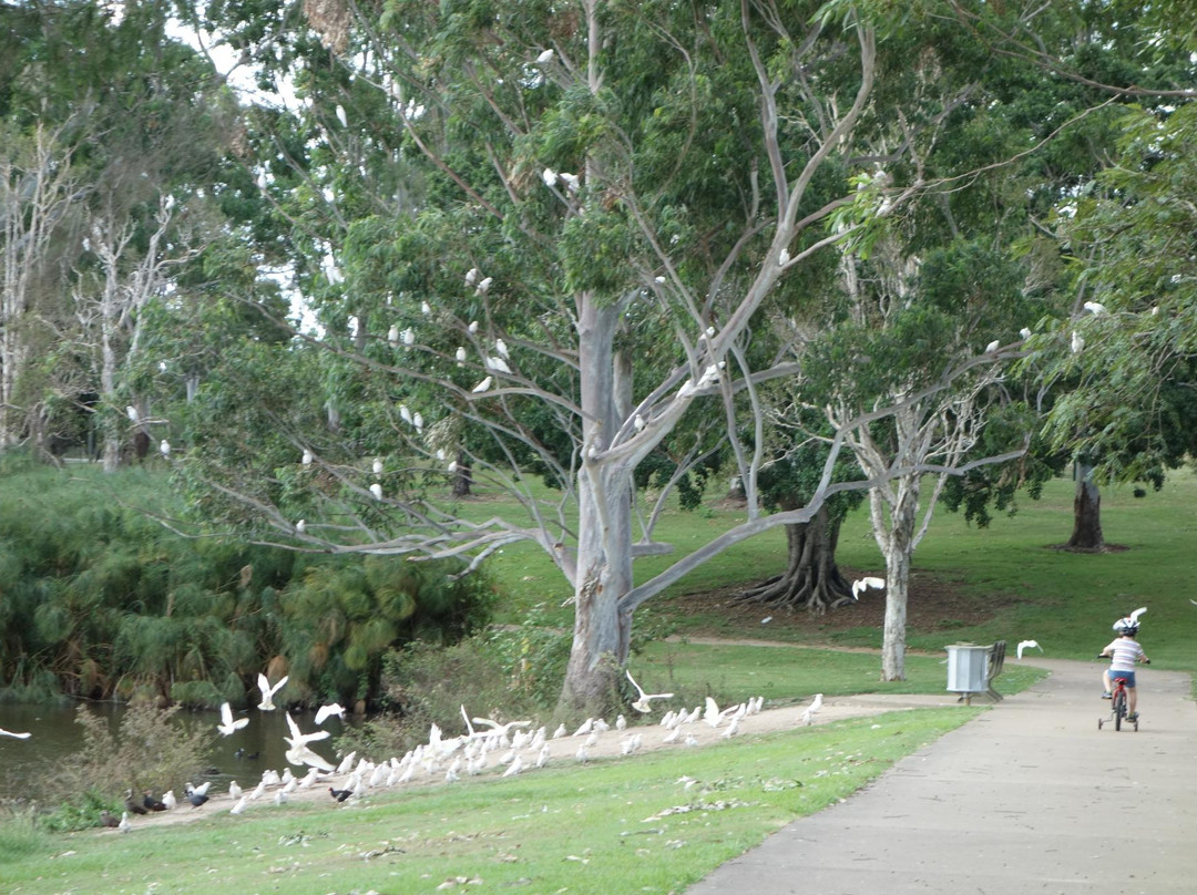 Anzac Park and Ululah Lagoon景点图片