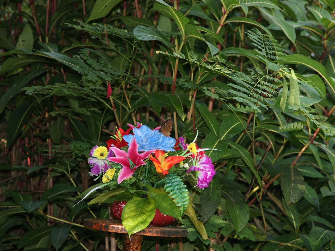 蝴蝶谷-三亚市必去景点