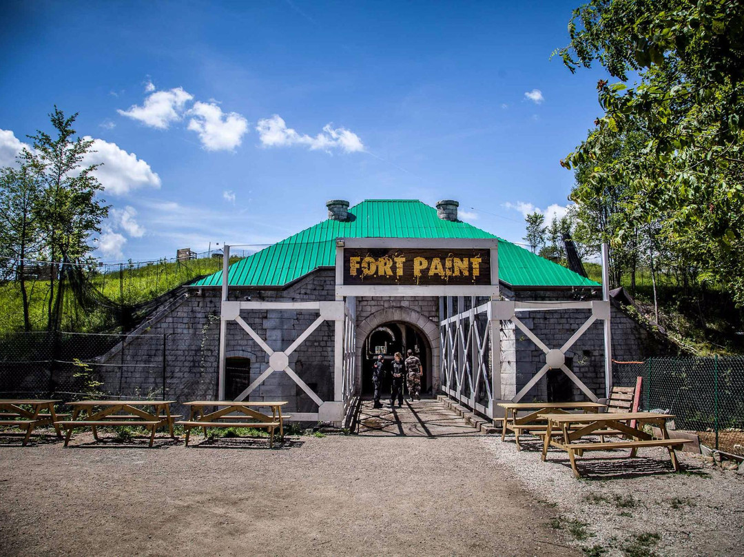 Fort Paint景点图片