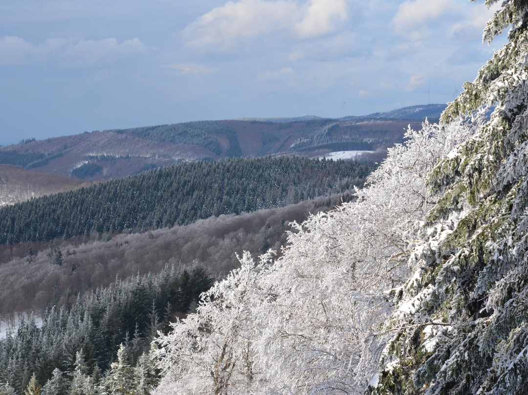 Laprugne旅游攻略图片