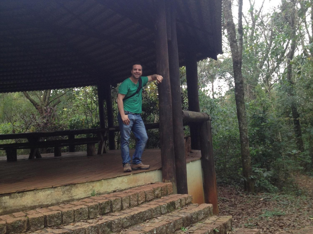 Parque Estadual Mata dos Godoy-Londrina必去景点