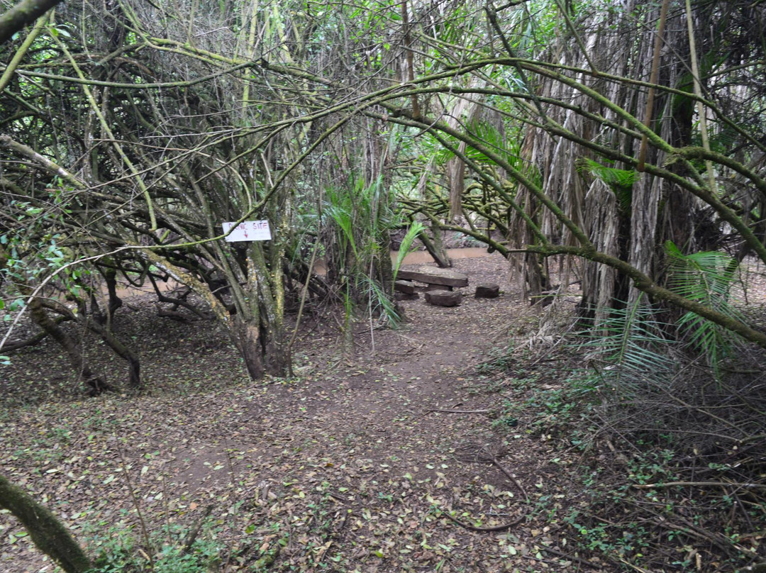 Kitale Nature Conservancy-Kitale必去景点