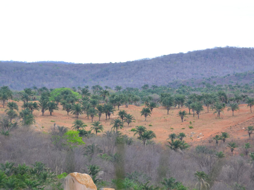 Pedra do Reino-Sao Jose Do Belmonte必去景点