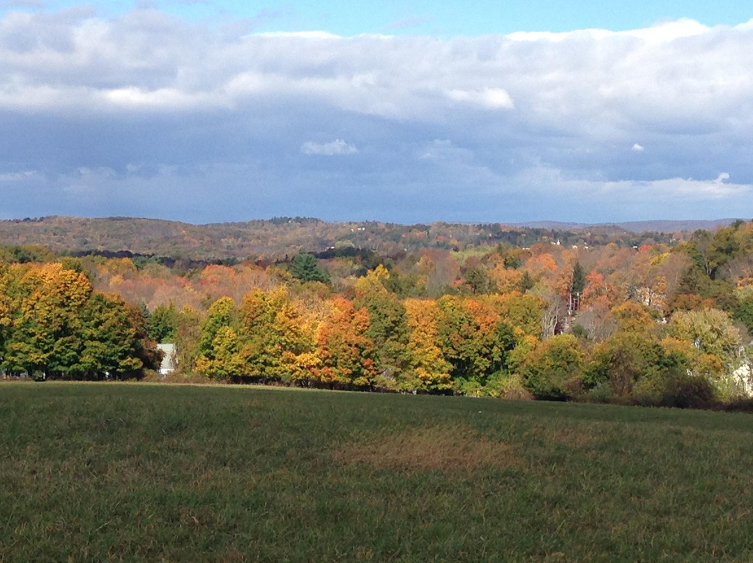 Tarrywile Park & Mansion-丹伯里必去景点