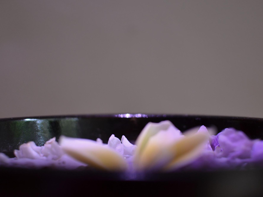 Aura Spa景点图片
